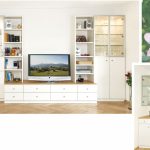 Regalwand und Esszimmervitrine